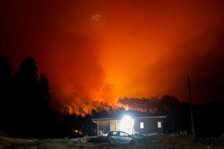 null Beeld AFP