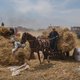 In Egypte is het al twee graden warmer, wat betekent dat voor het land?