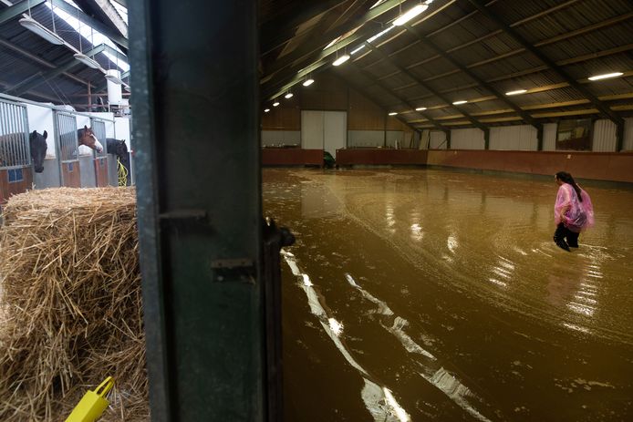 Boeren en manegehouders in Limburg hebben forse schade door het wassende water. Vanuit de Achterhoek komt een helpende hand.
Foto: Annemiek Mommers