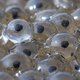 Wetenschappers creëren levend embryo van uitgestorven kikker