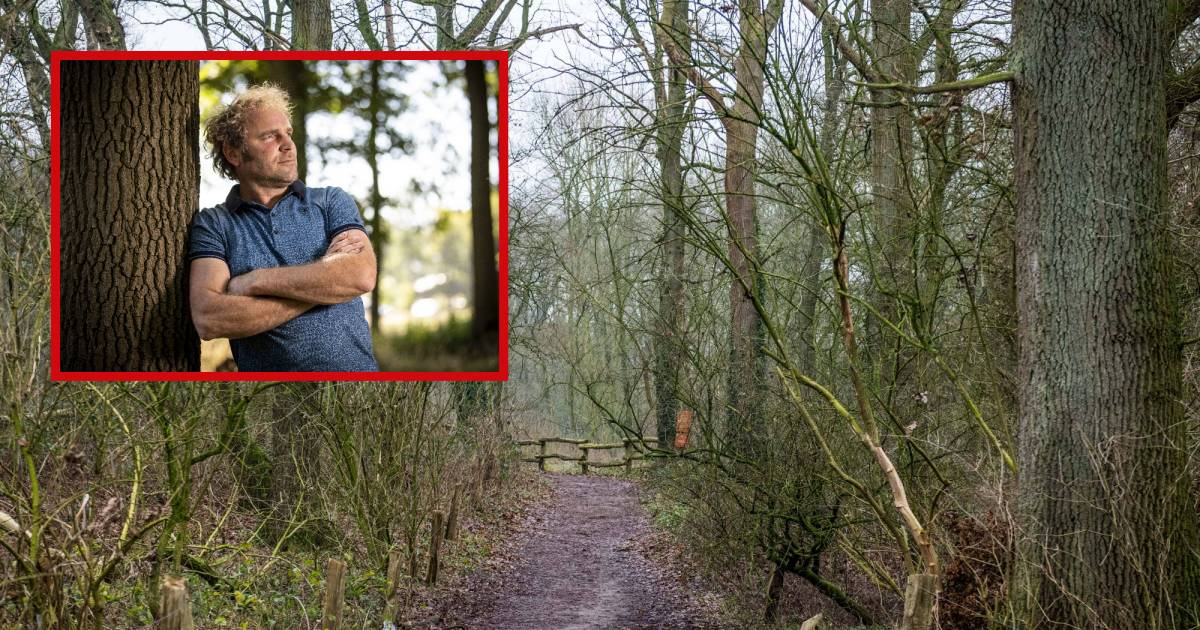 Campingeigenaren willen plan natuurbegraafplaats ‘Boer Frans’ uit De Lutte dwarsbomen: ‘Wordt niets’