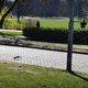Corona en de natuur: effect blijkt minder indrukwekkend dan gedacht