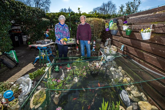 Rinus Schotman (81) heeft dementie. Normaal gaat hij elke woensdag naar zorgboerderij Bij Tjoonk, maar wegens de coronacrisis kan dit niet meer. Om de structuur te bewaren voor hem en zijn vrouw, krijgt hij huiswerk: maak een perspotje en stop die voel met zonnebloempitten.