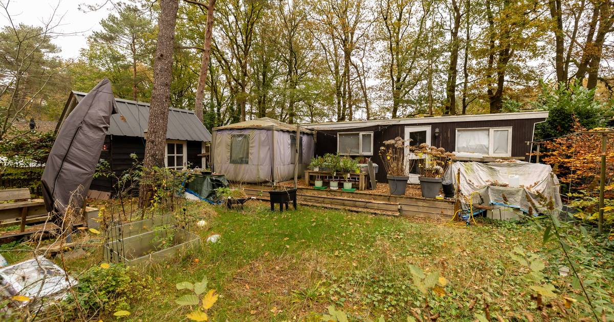 Camping Vossenburcht in IJhorst wil van huurder af: ‘Klanten kunnen niet bepalen wat er op het park 