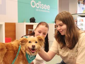 Honden knuffelen na het examen: “Dieren aaien werkt ontstressend”
