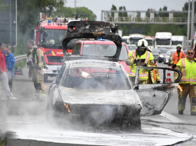 BMW van jong koppel uitgebrand op E403: “We probeerden nog te blussen maar stonden machteloos”