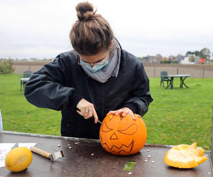 gesponsord kleuring compressie Hoe maak je zelf een Halloween-pompoen? Bij Charlotte's Pompoenen doen ze  het even voor | Zeeuws-Vlaanderen | pzc.nl