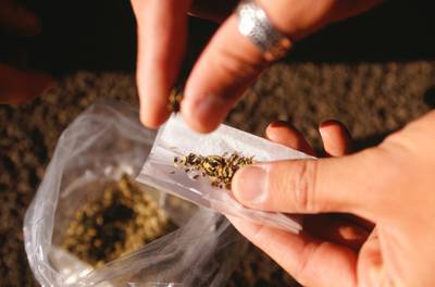 Man (39) uit Bergen op Zoom op heterdaad betrapt bij drugsdeal, maar hij wordt niet aangehouden
