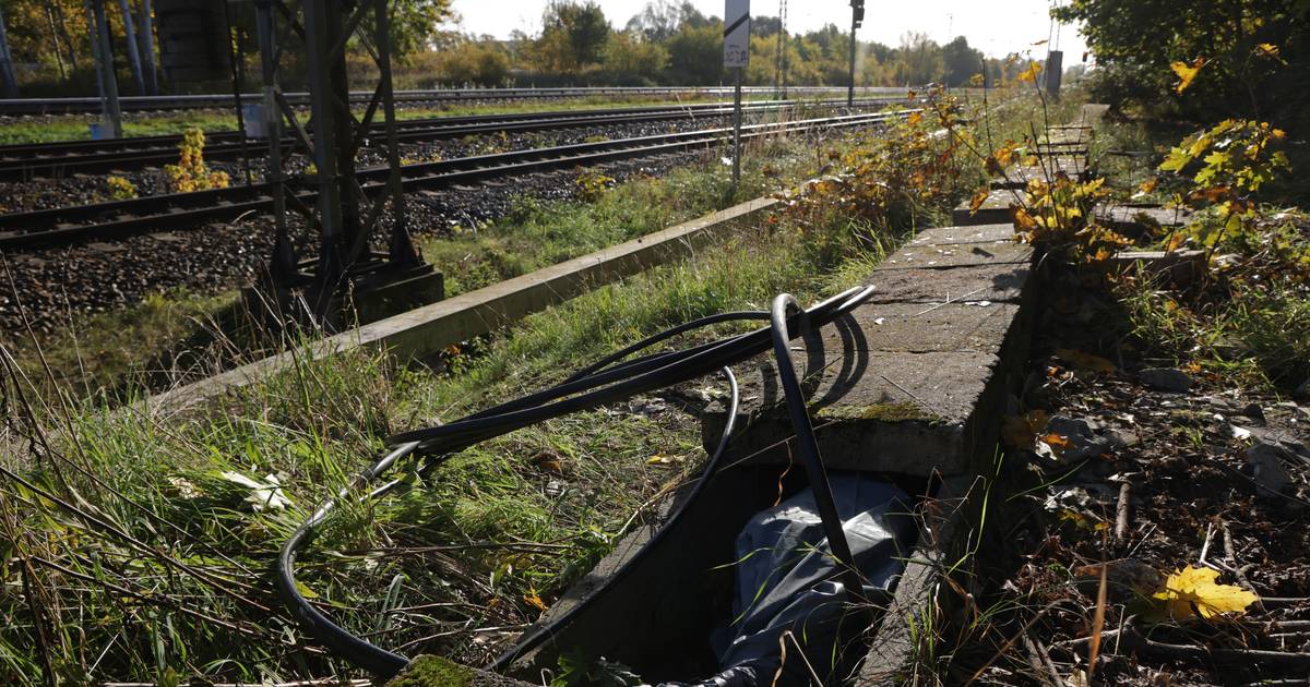Германия расследует политические мотивы саботажа на железной дороге |  За рубежом