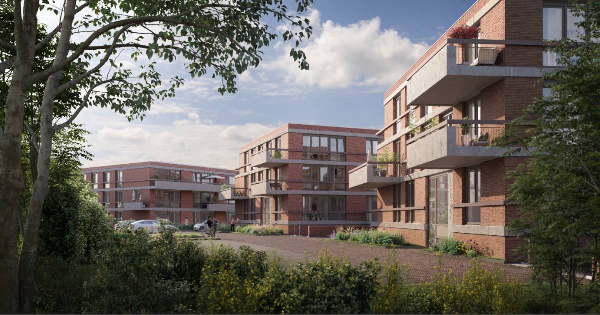 Wooniezie  Woningbelang