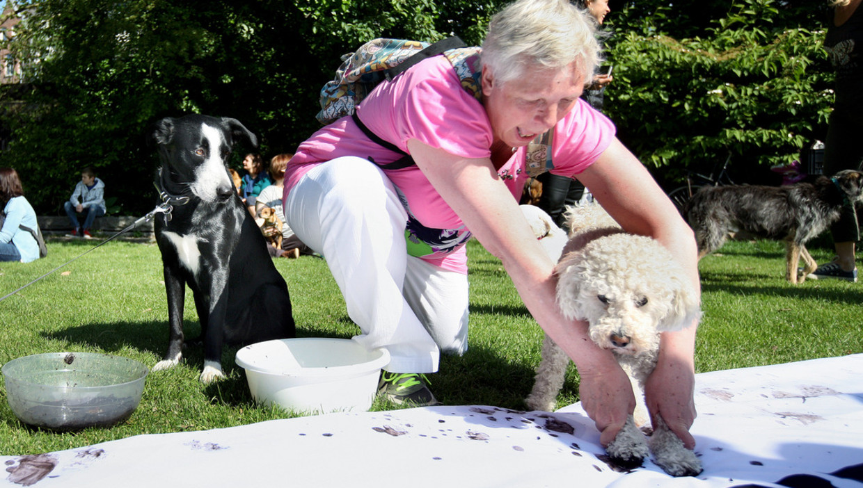 In het Vondelpark in Amsterdam demonstreerden gisteren tientallen hondenbezitters onder andere tegen het doorfokken van hondenrassen. De honden signeerden het protestdoek met hun pootjes. Beeld Jean-Pierre Jans