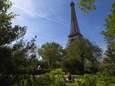 Les arbres parfois centenaires au pied de la Tour Eiffel ne seront finalement pas abattus