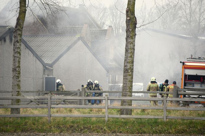 De brand woedde in alle hevigheid in een varkensstal op het bedrijf van Karel Messely en Silvy Dendauw.