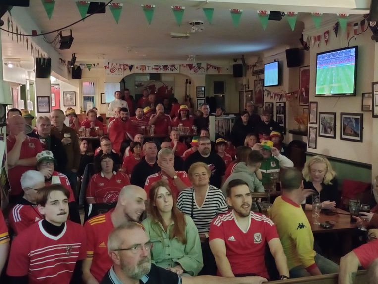 Wales fans watch Wales vs USA (1-1) at Saith Seren Pub.  Nils Posthumus's photo