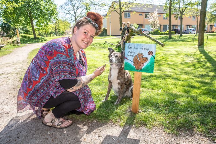 Zwolse Moeder Maakt Vrolijke Bordjes Tegen Hondenpoep Zwolle Destentor Nl