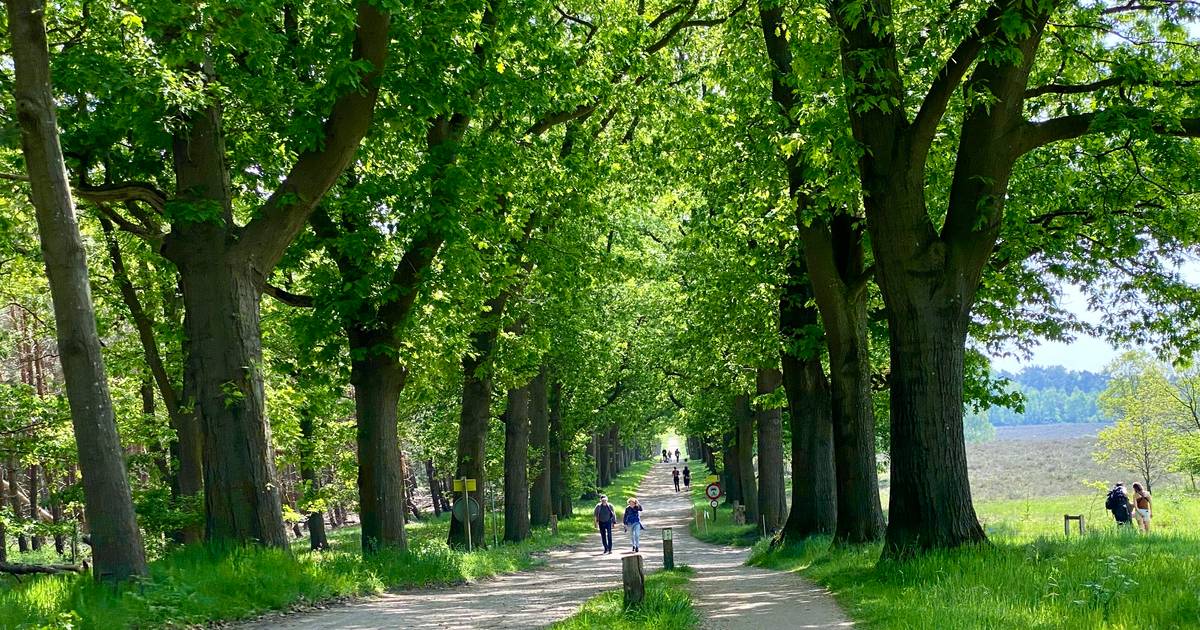 Met een beetje noaberschap kun je nog heel ver komen | Fietsen en wandelen met Truus