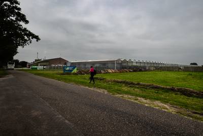 Toch bedden voor arbeidsmigranten in Helenaveen: voorlopig kan komkommerboer lachen