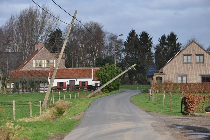 In Assenede moesten de Planterijstraat en de Krekelmijt afgesloten worden omdat elektriciteitspalen er waren omgewaaid.