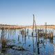 Grens is bereikt: grondwaterstand moet omhoog om verzakking van huizen en natuurschade te verminderen