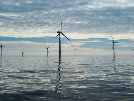 Hoe er meer windmolens op de Noordzee gebouwd worden zonder de natuur in de weg te zitten