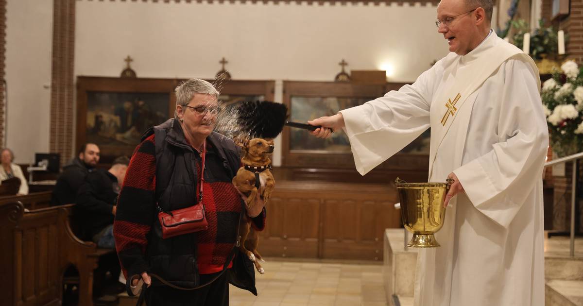 Van hamster tot hond, baasjes laten hun dieren zegenen in Hoornse kerk: ‘Veel meer dan vorig jaar’