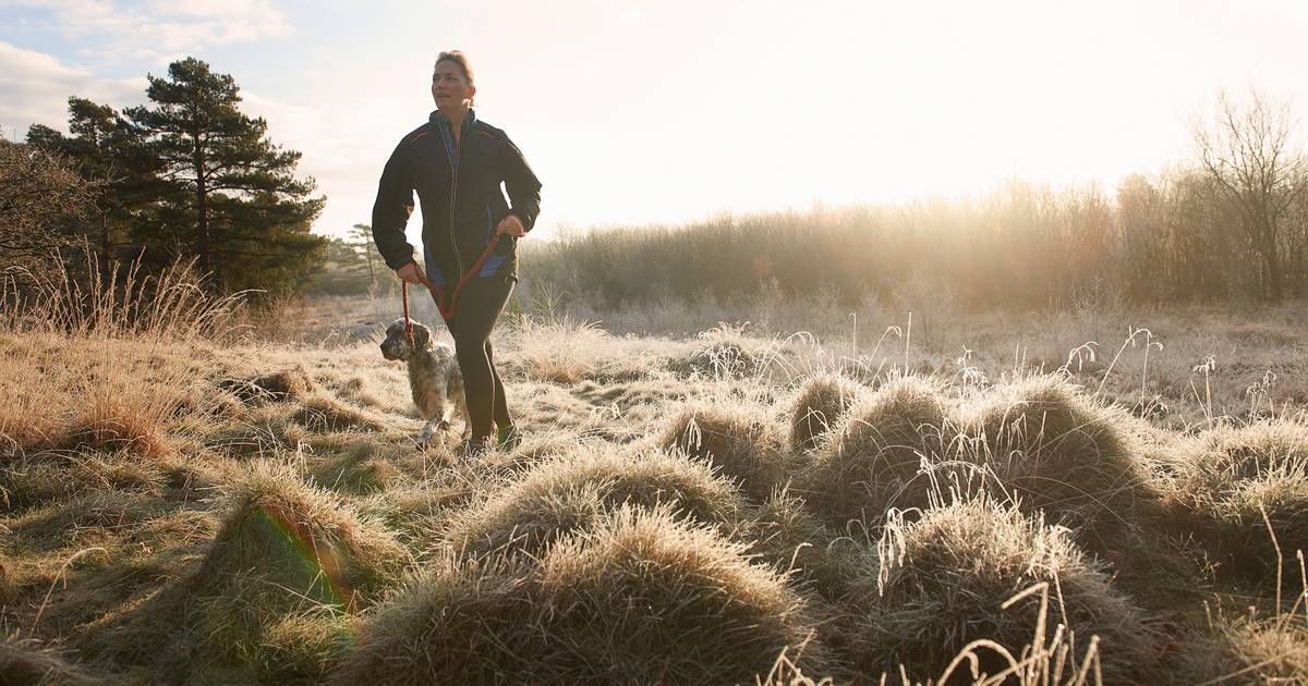 Wandelschoenen 1 discount maat groter kopen