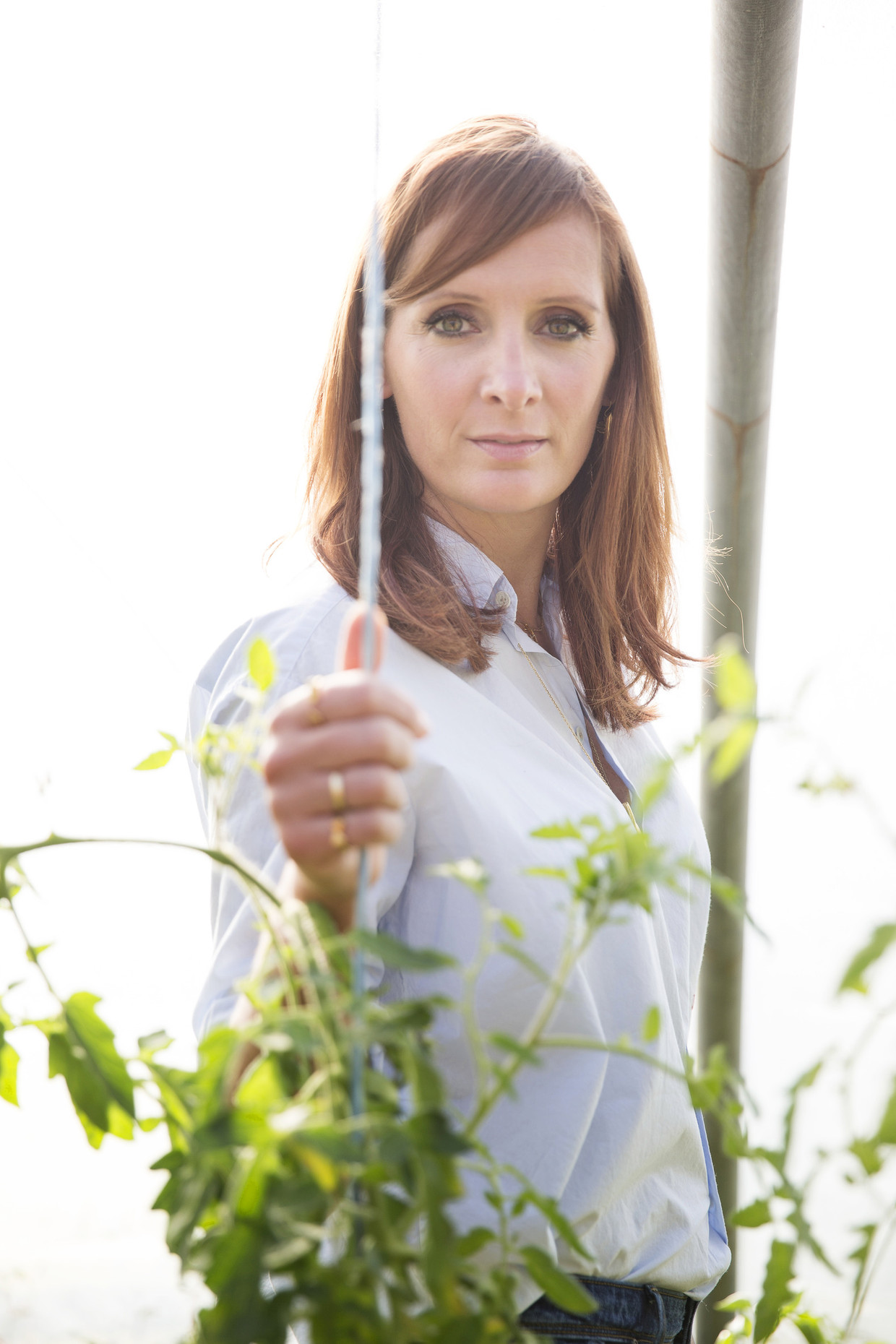 null Beeld Greetje Van Buggenhout