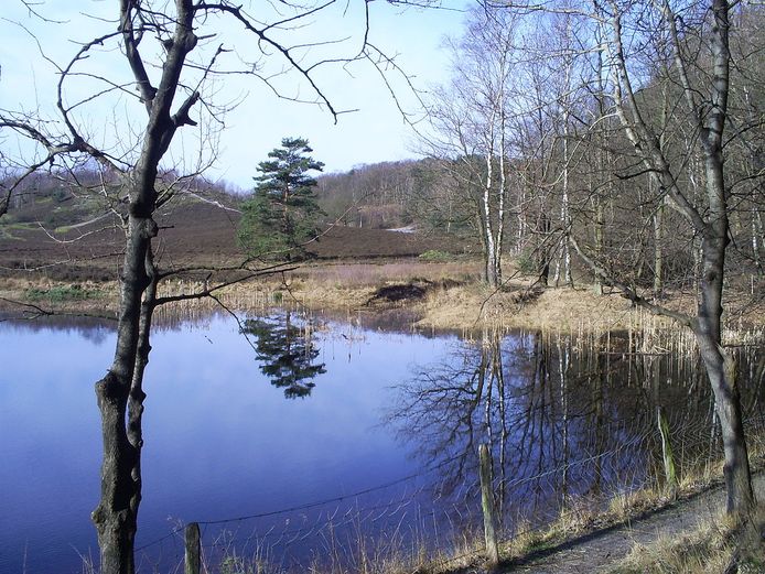 De Brunssummerheide.