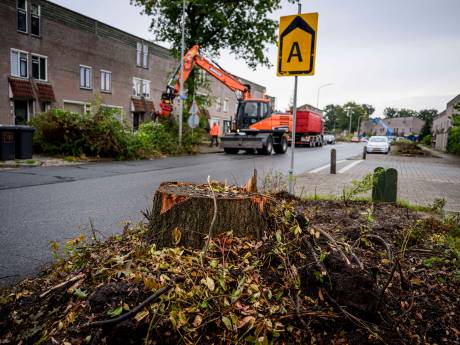 Rechter besluit, huurder die onrust veroorzaakt aan de Zeven Bosjes hoeft woning niet uit