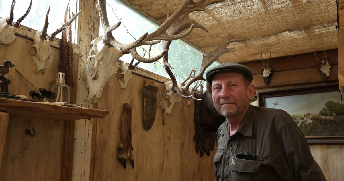 Peter heeft het steeds drukker met aangereden wild: ‘Ik sta vaak helemaal te trillen’.