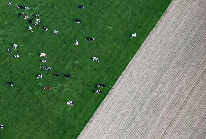 Luchtfoto Hoeksche Waard.