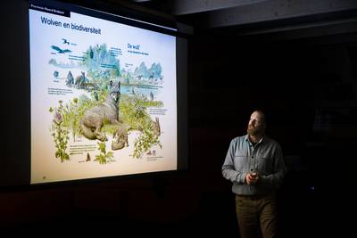 Wolven verhogen de biodiversiteit: zo kun je het ook zien