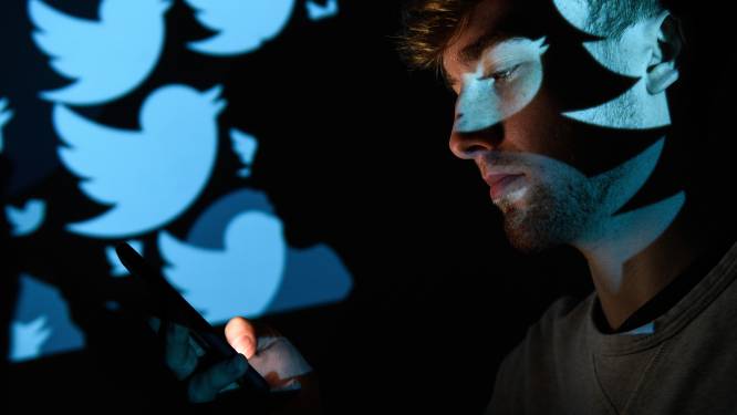 Niet Hyves, maar Hive: nieuw alternatief voor Twitter ineens populair