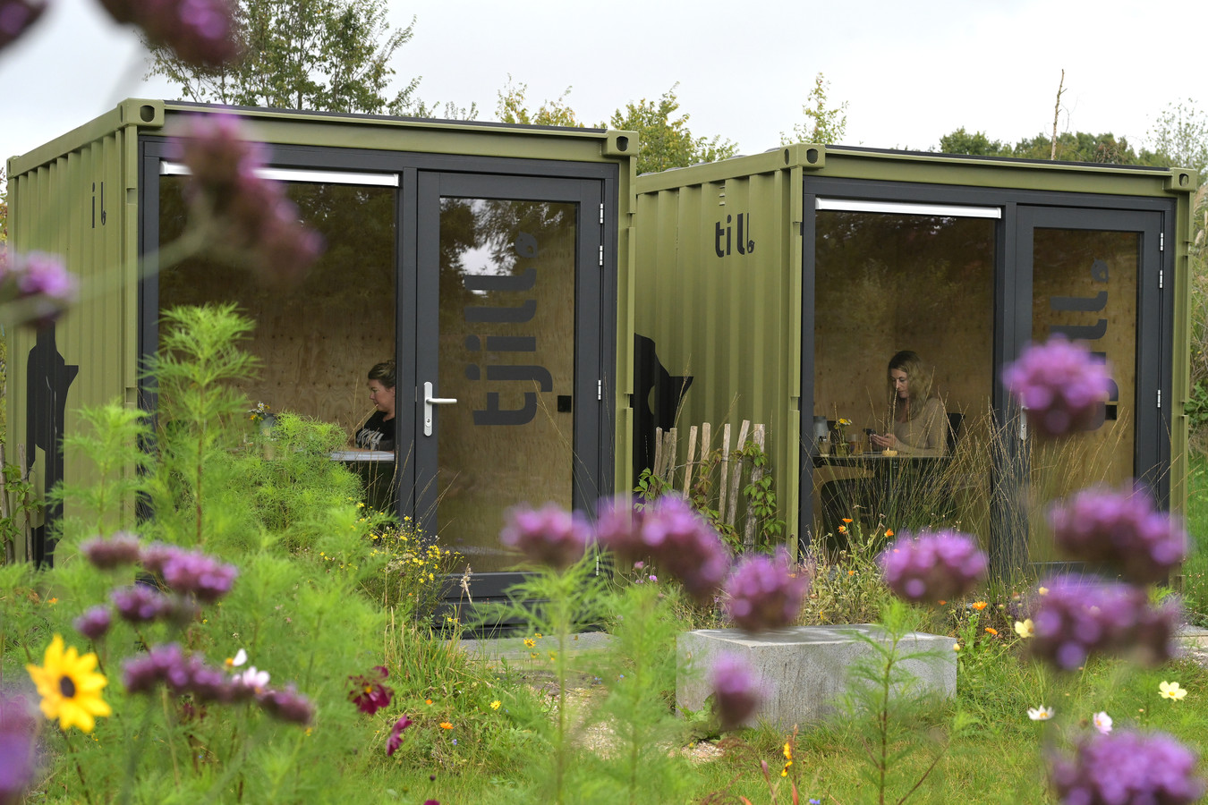 Ontspannen werken in een gepimpte container terwijl de roofvogels ...