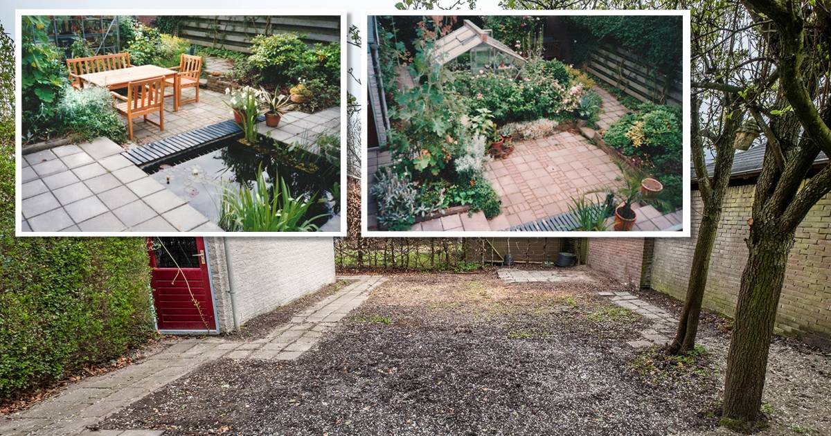 ‘Opknap’ van wilde tuin door woningcorporatie wekt verbazing: ‘Ze hebben bijna alles platgeslagen wa