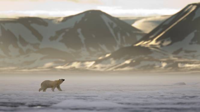 Alarmerende PFAS-niveaus in arctische wildernis in Spitsbergen