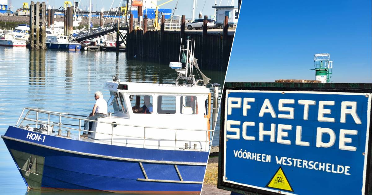 Moeten na vissers ook recreatie vergoeding krijgen voor PFAS-schade? ‘Smeerlapperij is al jaren aan 