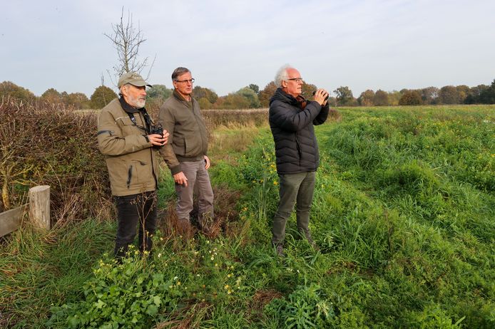 Dorus van den Boom, Gerard Lijten en Heine van Maar (vlnr) kijken uit over natuurgebied Gijzenrooi, tussen Geldrop en Eindhoven.