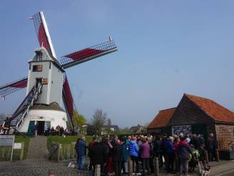 Wat te doen dit weekend in Brugge en aan de kust: van molens die hun deuren openen tot een stripfestival
