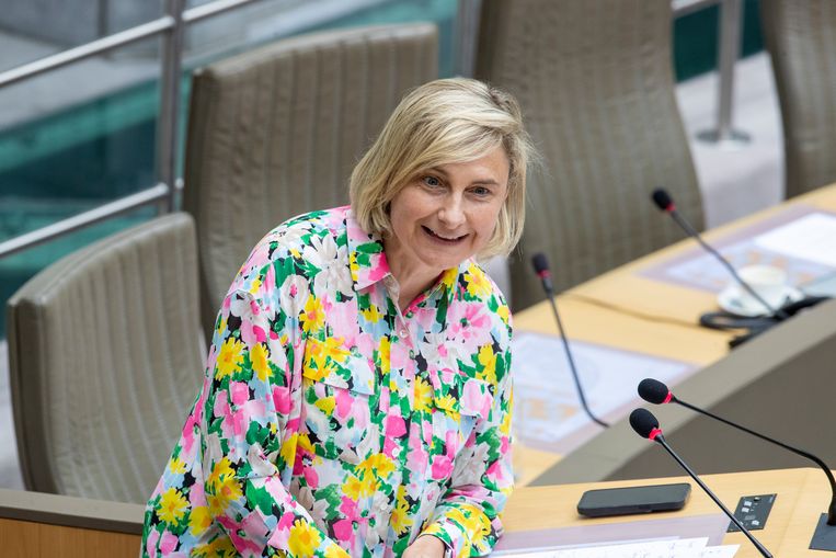 Vlaams minister van Welzijn Hilde Crevits (cd&v).  Beeld BELGA