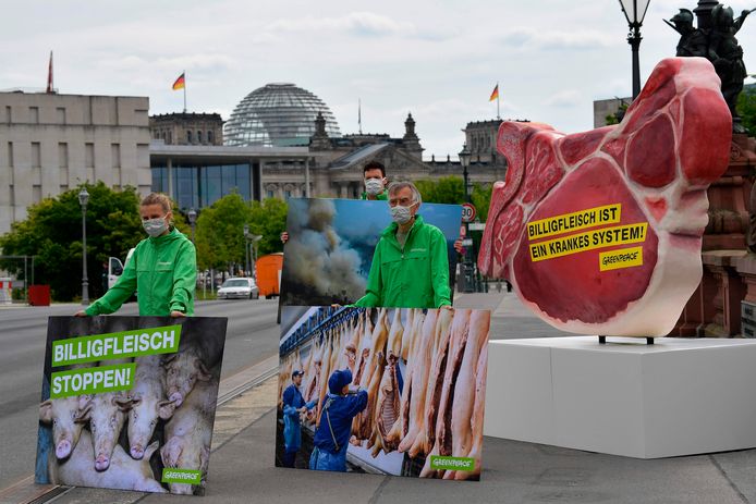 Greenpeace-activisten demonstreren in Berlijn tegen de situatie in Duitse slachthuizen.