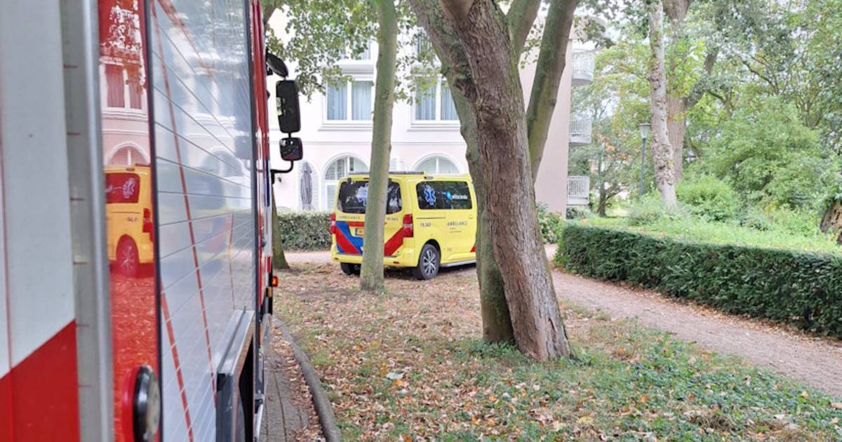 Vrouw moet door brandweer het bos uitgedragen worden na val in bos Domburg