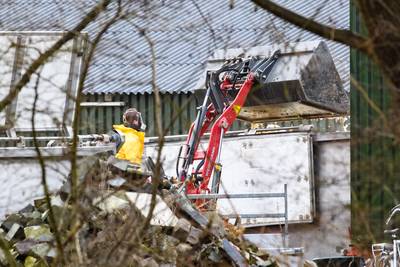 Zorgen over vogelgriep nemen toe na nieuwe besmettingen: ‘Weten niet hoe we het moeten stoppen’