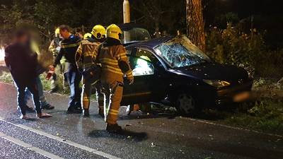 Auto ramt boom in Wageningen, bestuurder gewond