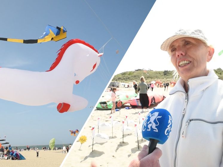 Lucht gevuld met vliegers tijdens vliegerfestival Renesse