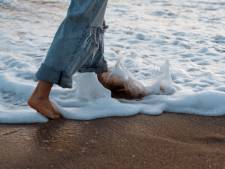 Un biologiste évoque sept phénomènes naturels qui renforcent notre santé physique et mentale: “Le soleil donne le rythme”
