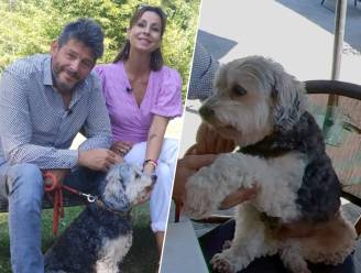 Dit is het grootste talent van Balu, de hond van Bieke Ilegems: “Hij kan iedereen verleiden”
