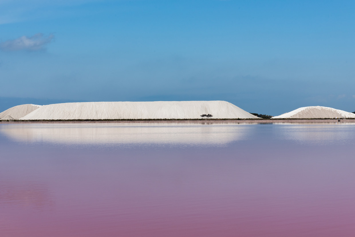 De zoutvlaktes van Aigues-Mortes. Een alg die goed gedijt in zout water doet het water roze kleuren. Beeld Katleen Gils
