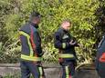 Egel gered uit brand