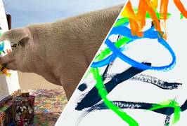 Dit varken maakt voor duizenden euro's abstracte kunst